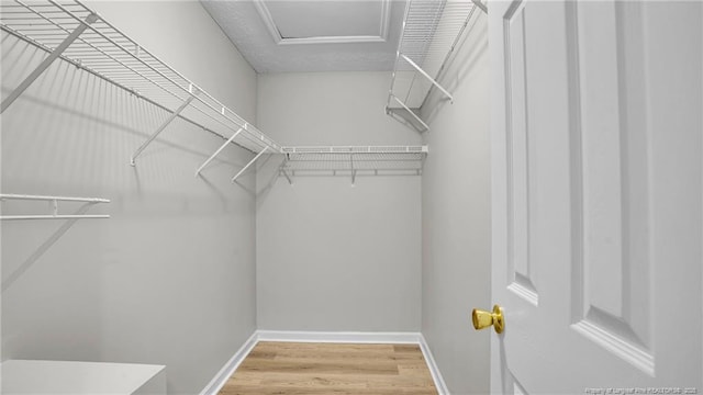 21 Dinghy Dr, Sanford, NC 27332 - walk in closet with wood finished floors and attic access
