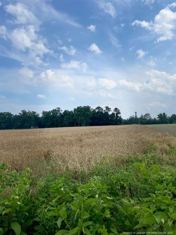 NC Highway 55, Dunn, NC 28334