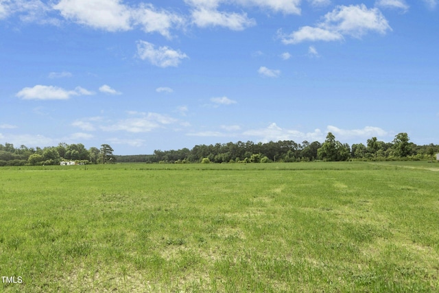 614 Tart Town Rd, Dunn, NC 28334 - photo 23