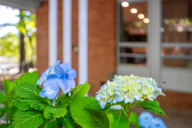 903 W Maynard Ave, Durham, NC 27704 - detailed view