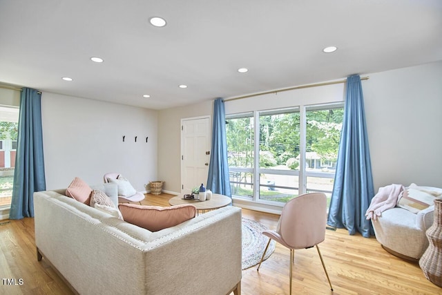 903 W Maynard Ave, Durham, NC 27704 - living area featuring light wood-style floors, plenty of natural light, and recessed lighting