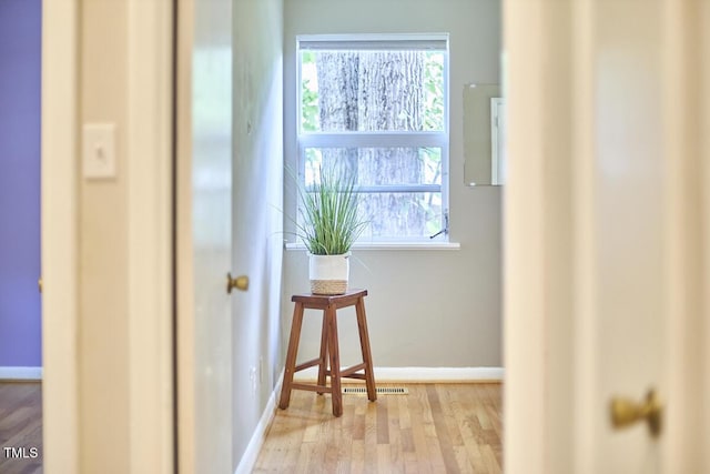 903 W Maynard Ave, Durham, NC 27704 - hall featuring wood finished floors and plenty of natural light