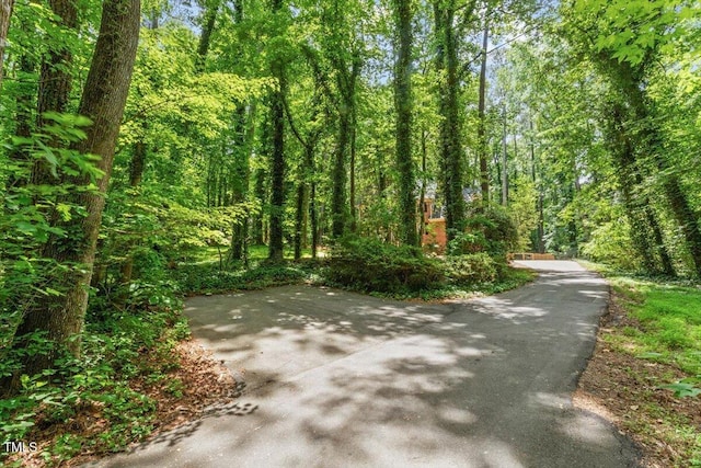 5125 Penny Rd, Raleigh, NC 27606 - view of street with a wooded view
