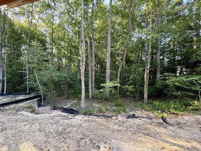 3828 Coach Lantern Ave, Wake Forest, NC 27587 - view of undeveloped land