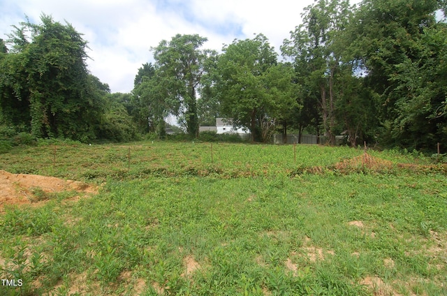 4109 Stonewall Dr, Raleigh, NC 27604 - photo 5