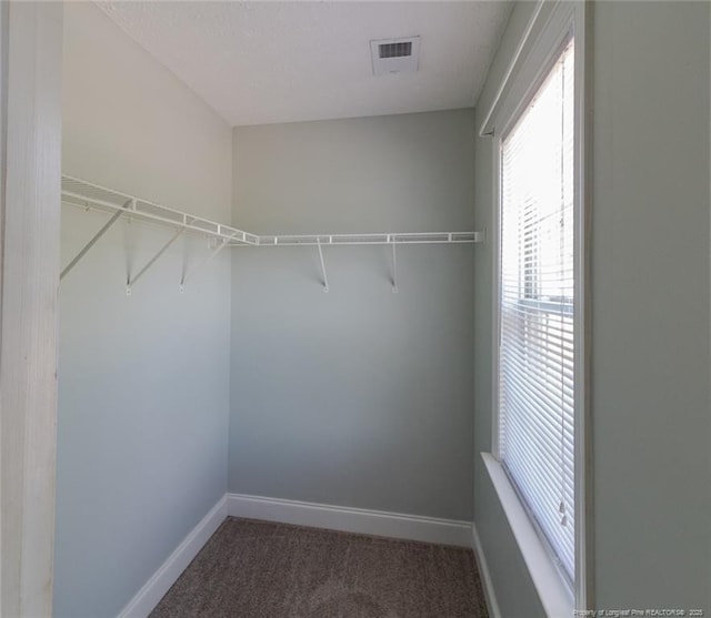 526 E Stack St, Saint Pauls, NC 28384 - walk in closet featuring carpet flooring