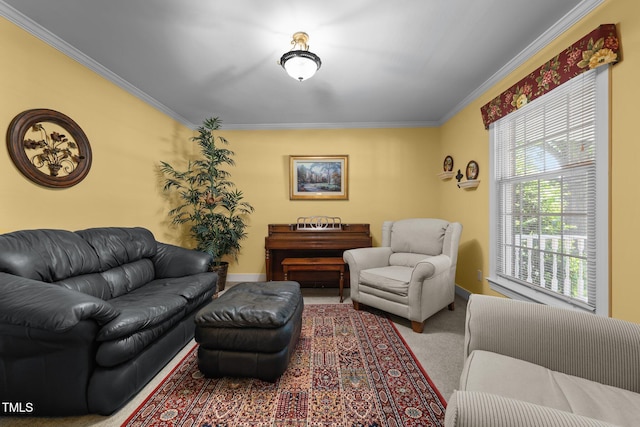 2127 Somers Ave, Burlington, NC 27215 - living area featuring ornamental molding, carpet floors, and baseboards