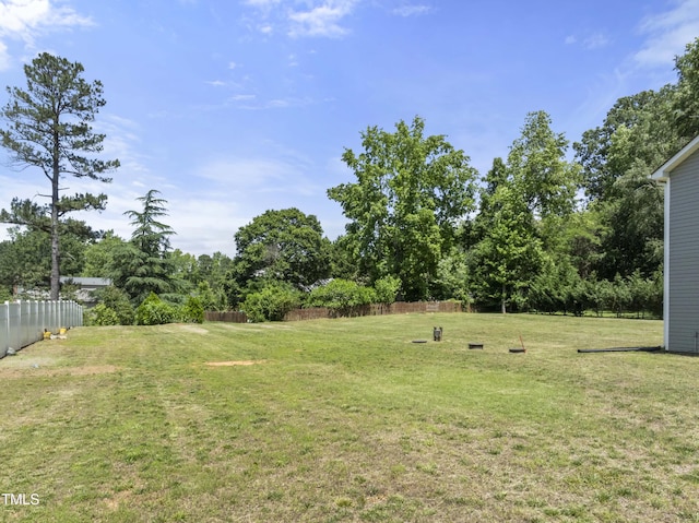 218 Mason Rd, Durham, NC 27712 - view of yard