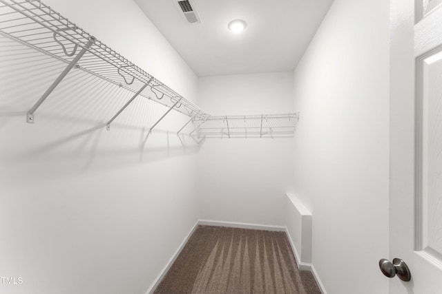 218 Mason Rd, Durham, NC 27712 - walk in closet with carpet floors