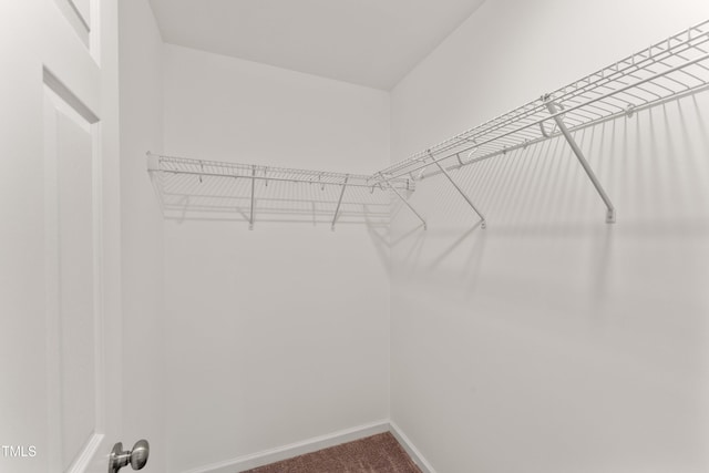 218 Mason Rd, Durham, NC 27712 - walk in closet featuring carpet