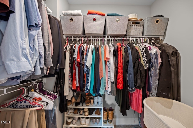 412 Carr Store Rd, Cedar Grove, NC 27231 - view of spacious closet