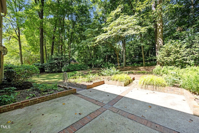 6925 Valley Lake Dr, Raleigh, NC 27612 - photo 28