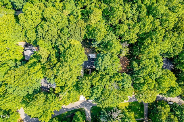 114 Bonaparte Dr, Hillsborough, NC 27278 - aerial overview of property's location