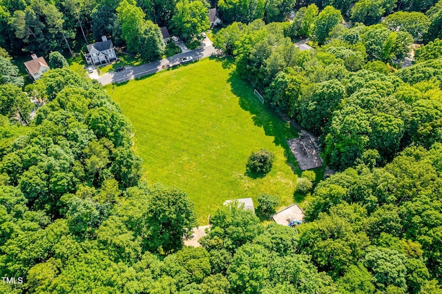 114 Bonaparte Dr, Hillsborough, NC 27278 - aerial view