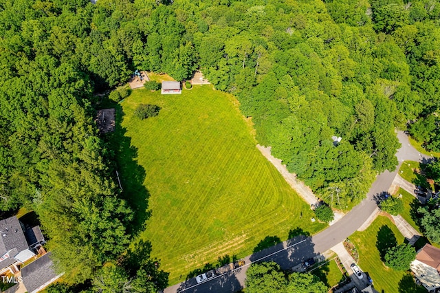 114 Bonaparte Dr, Hillsborough, NC 27278 - bird's eye view of a forest