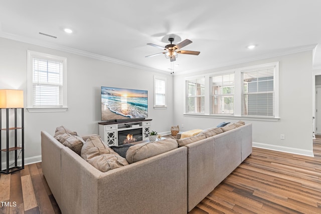 279 Edge Of Auburn Blvd, Raleigh, NC 27610 - living room with baseboards, a ceiling fan, wood finished floors, ornamental molding, and plenty of natural light
