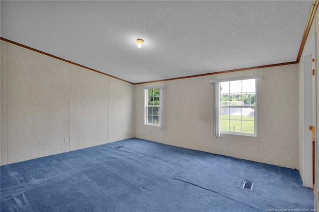 6131 Twiggs Ct, Hope Mills, NC 28348 - empty room with crown molding, carpet flooring, and a textured ceiling