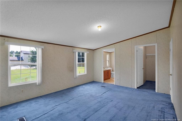 6131 Twiggs Ct, Hope Mills, NC 28348 - unfurnished bedroom featuring lofted ceiling, carpet floors, multiple windows, a textured ceiling, and crown molding