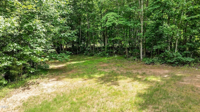 8304 Southmoor Hill Trl, Wake Forest, NC 27587 - view of nature