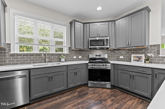 8304 Southmoor Hill Trl, Wake Forest, NC 27587 - kitchen with appliances with stainless steel finishes, gray cabinets, and a sink