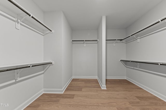 8304 Southmoor Hill Trl, Wake Forest, NC 27587 - walk in closet with wood finished floors