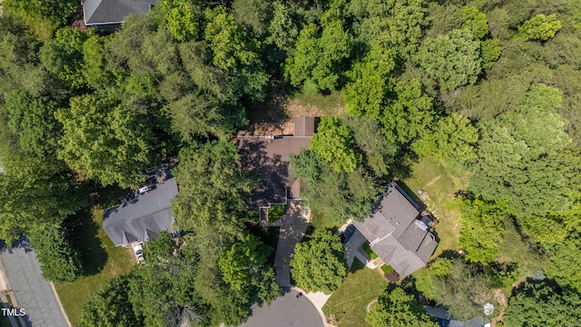 102 Winged Foot Ct, Mebane, NC 27302 - photo 60