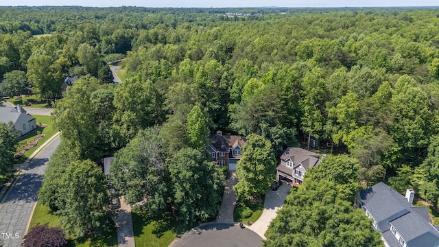 102 Winged Foot Ct, Mebane, NC 27302 - photo 59