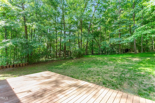 102 Winged Foot Ct, Mebane, NC 27302 - photo 50