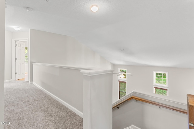 102 Winged Foot Ct, Mebane, NC 27302 - photo 35