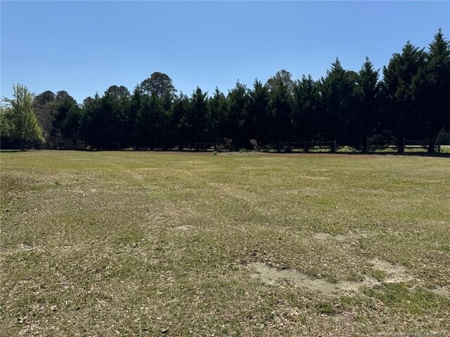 13238 NC Highway 87, Tar Heel, NC 28392 - photo 6