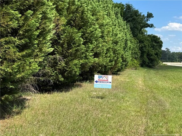 13238 NC Highway 87, Tar Heel, NC 28392 - photo 8