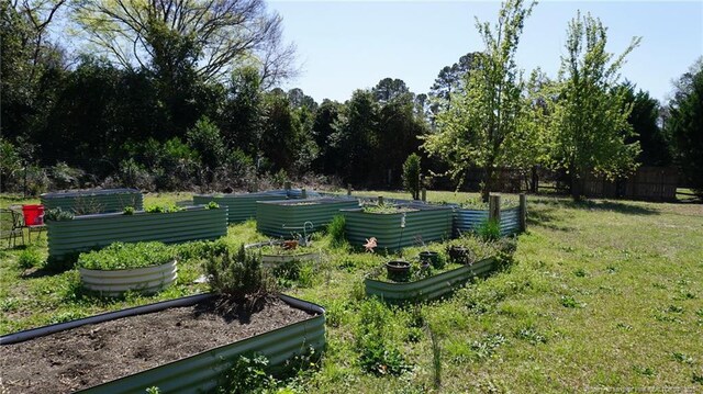 13238 NC Highway 87, Tar Heel, NC 28392 - photo 10