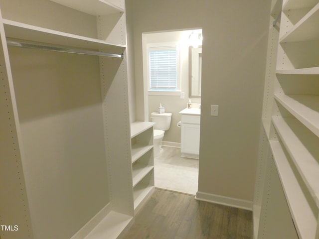 1311 Arena Ln, Fuquay Varina, NC 27526 - walk in closet with wood finished floors