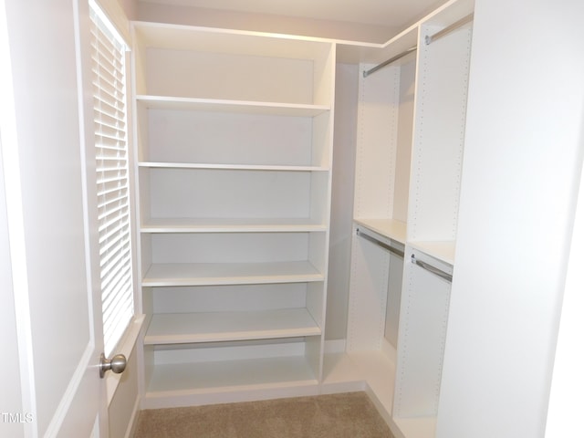 1311 Arena Ln, Fuquay Varina, NC 27526 - walk in closet with carpet