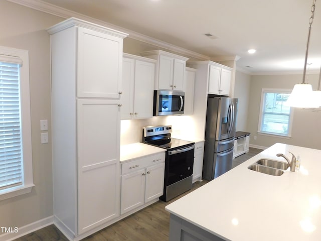 1311 Arena Ln, Fuquay Varina, NC 27526 - kitchen featuring appliances with stainless steel finishes, a sink, ornamental molding, dark wood finished floors, and light countertops
