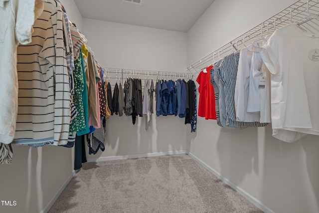 1896 Blue Jay Pt, Apex, NC 27502 - walk in closet with carpet floors