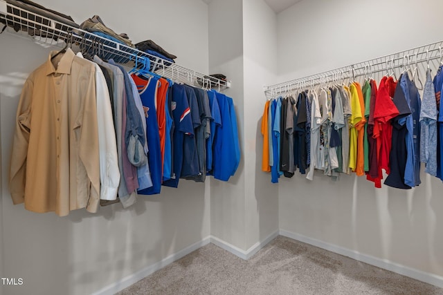 1896 Blue Jay Pt, Apex, NC 27502 - spacious closet with carpet floors