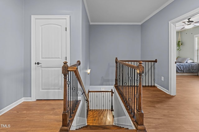1896 Blue Jay Pt, Apex, NC 27502 - stairs with wood finished floors, crown molding, baseboards, and a ceiling fan