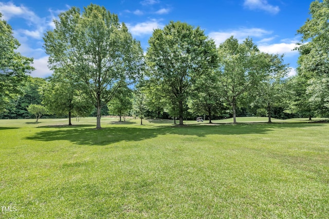 113 Feezor Ct, Clayton, NC 27527 - view of grassy yard with view of wooded area