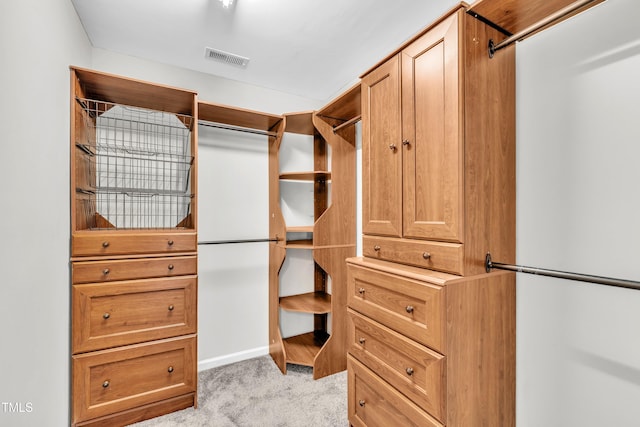 113 Feezor Ct, Clayton, NC 27527 - walk in closet with light carpet