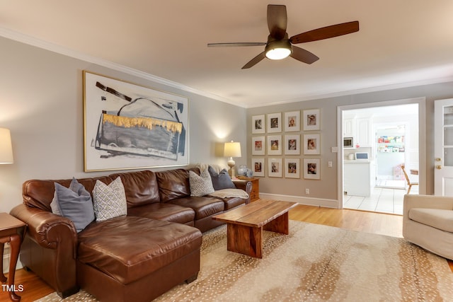 1206 Ivy Ln, Raleigh, NC 27609 - living area with a ceiling fan, crown molding, and light wood-style floors