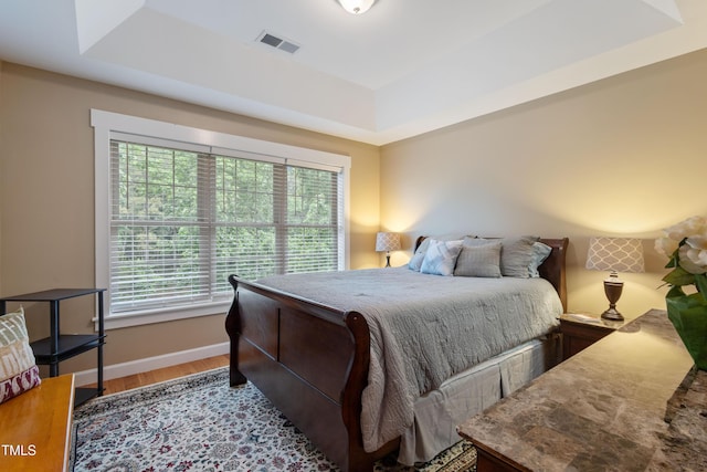 49412 River Run Rd, Albemarle, NC 28001 - bedroom featuring a tray ceiling, multiple windows, wood finished floors, and baseboards