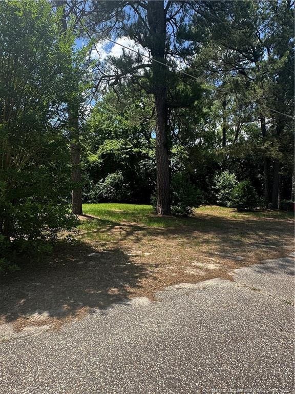 234 Draughone Ave, Fayetteville, NC 28306 - photo 16