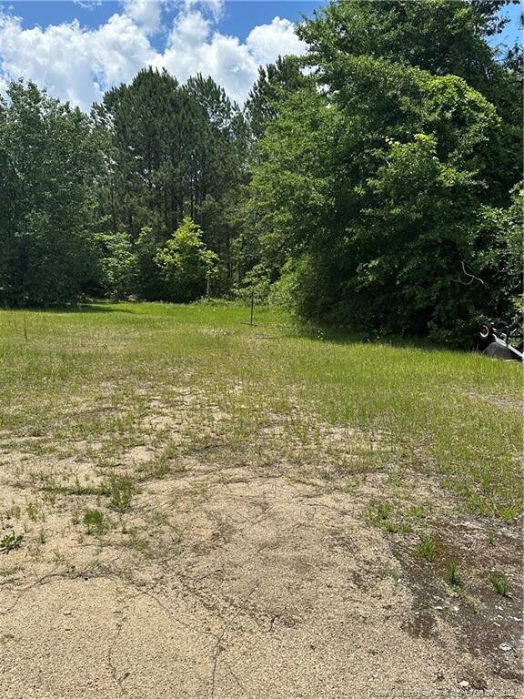 234 Draughone Ave, Fayetteville, NC 28306 - photo 19