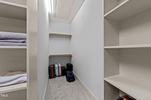 1711 Happiness Hill Ln, Raleigh, NC 27614 - walk in closet with carpet flooring