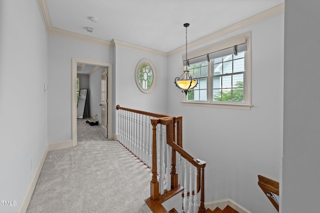 1711 Happiness Hill Ln, Raleigh, NC 27614 - corridor with ornamental molding, an upstairs landing, carpet flooring, and baseboards