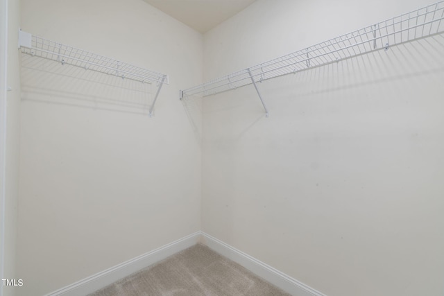 1130 Arbor Edge Ln, Durham, NC 27703 - photo 19