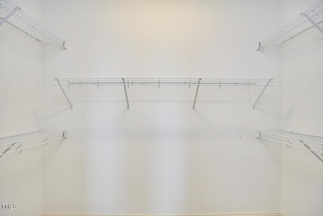808 Historian St, Raleigh, NC 27603 - view of walk in closet