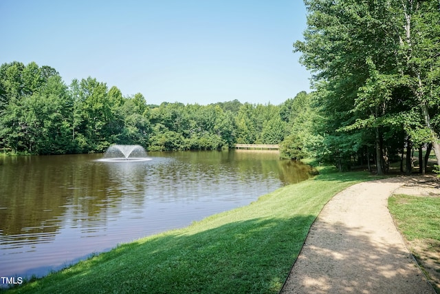 2808 Carter Finley Pl, Raleigh, NC 27606 - water view with a forest