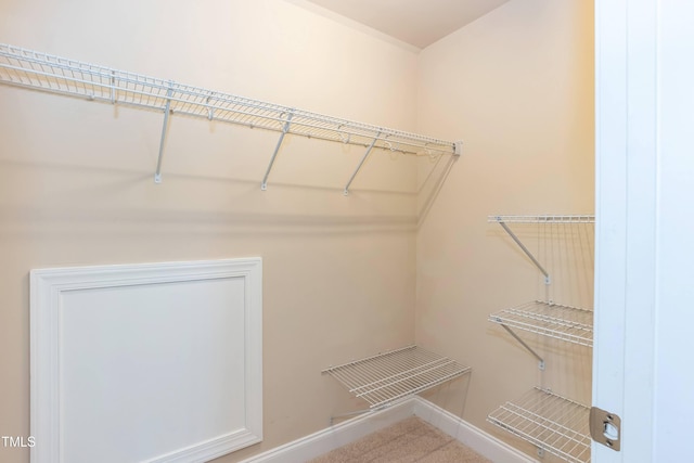 2808 Carter Finley Pl, Raleigh, NC 27606 - spacious closet featuring carpet